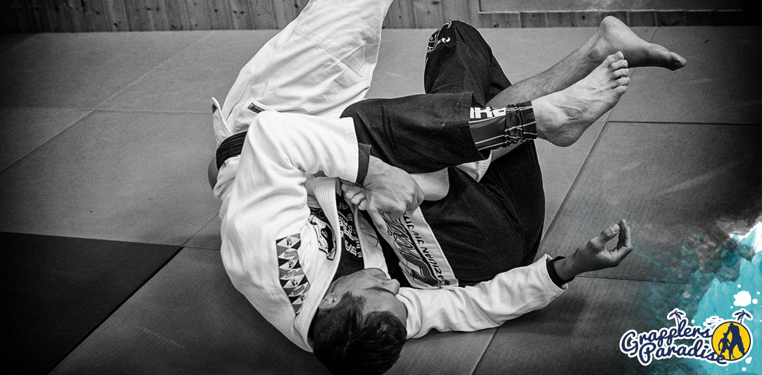 My best Luta Livre Techniques in English